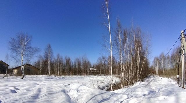 земля г Электрогорск ул 1-я Юго-Западная 33 Павлово-Посадский городской округ фото