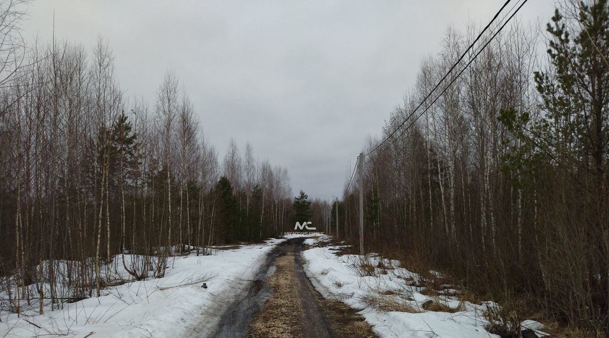 земля г Электрогорск ул 5-я Юго-Западная 15 Павлово-Посадский городской округ фото 4