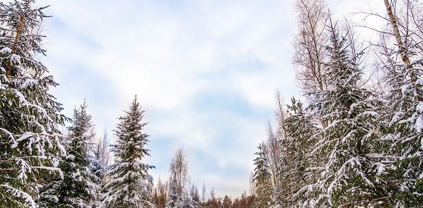 земля городской округ Ступино с Семёновское фото 17