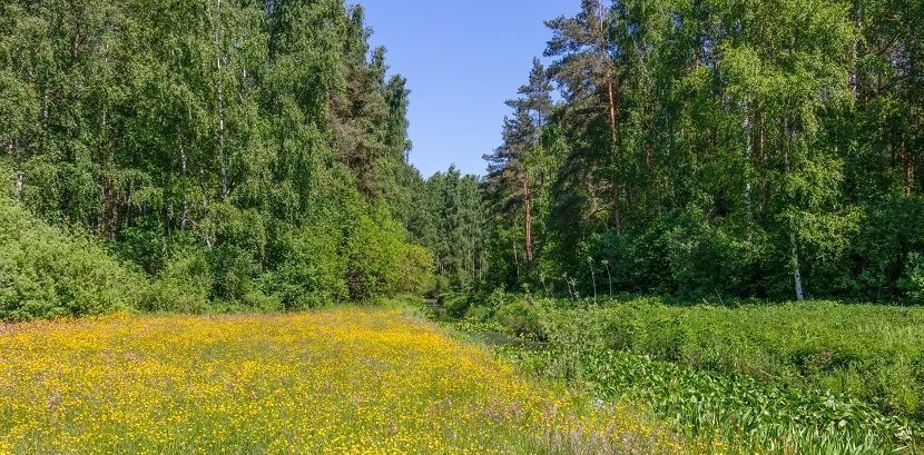 земля городской округ Ступино с Семёновское фото 14