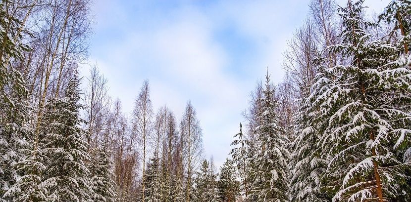 земля городской округ Ступино с Семёновское фото 16