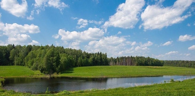 земля городской округ Ступино с Семёновское фото 20