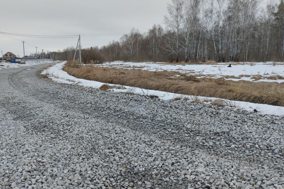 земля р-н Тюменский фото 1