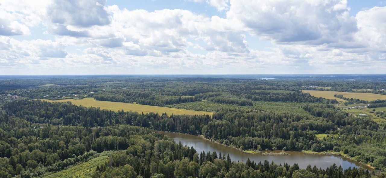 земля городской округ Шатура д Петряиха фото 3