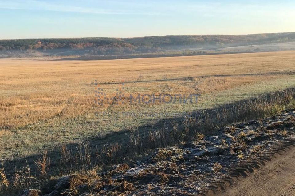 земля р-н Дальнеконстантиновский фото 4