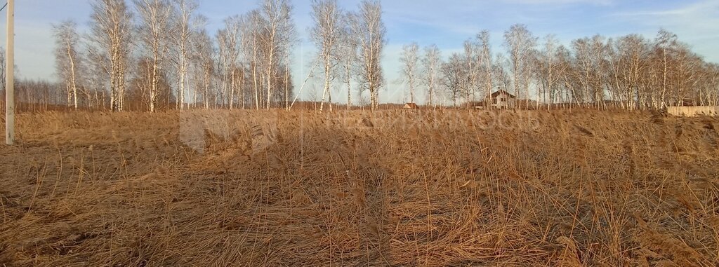 земля г Тюмень тер дачное некоммерческое товарищество Березка собственников недвижимости Зелёный Бор фото 8