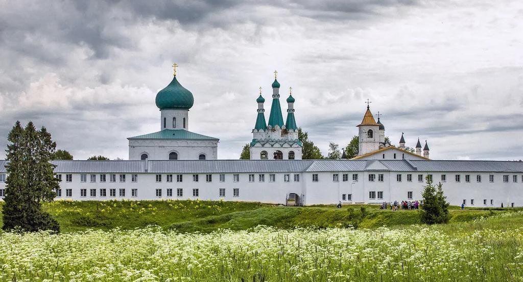 земля р-н Лодейнопольский г Лодейное Поле Янегское сельское поселение, Слобода, д. Старая фото 4