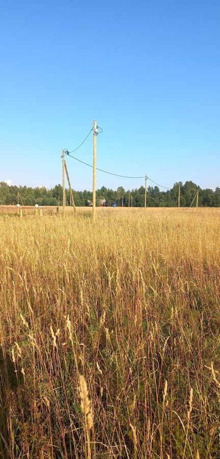 земля р-н Лодейнопольский г Лодейное Поле Мурманское шоссе, Янегское сельское поселение, Слобода, д. Старая фото 5