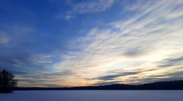 Токсовское городское поселение, Экофорест кп фото