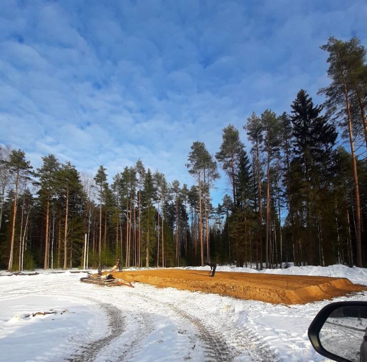 земля р-н Всеволожский Токсовское городское поселение, Экофорест кп фото 2