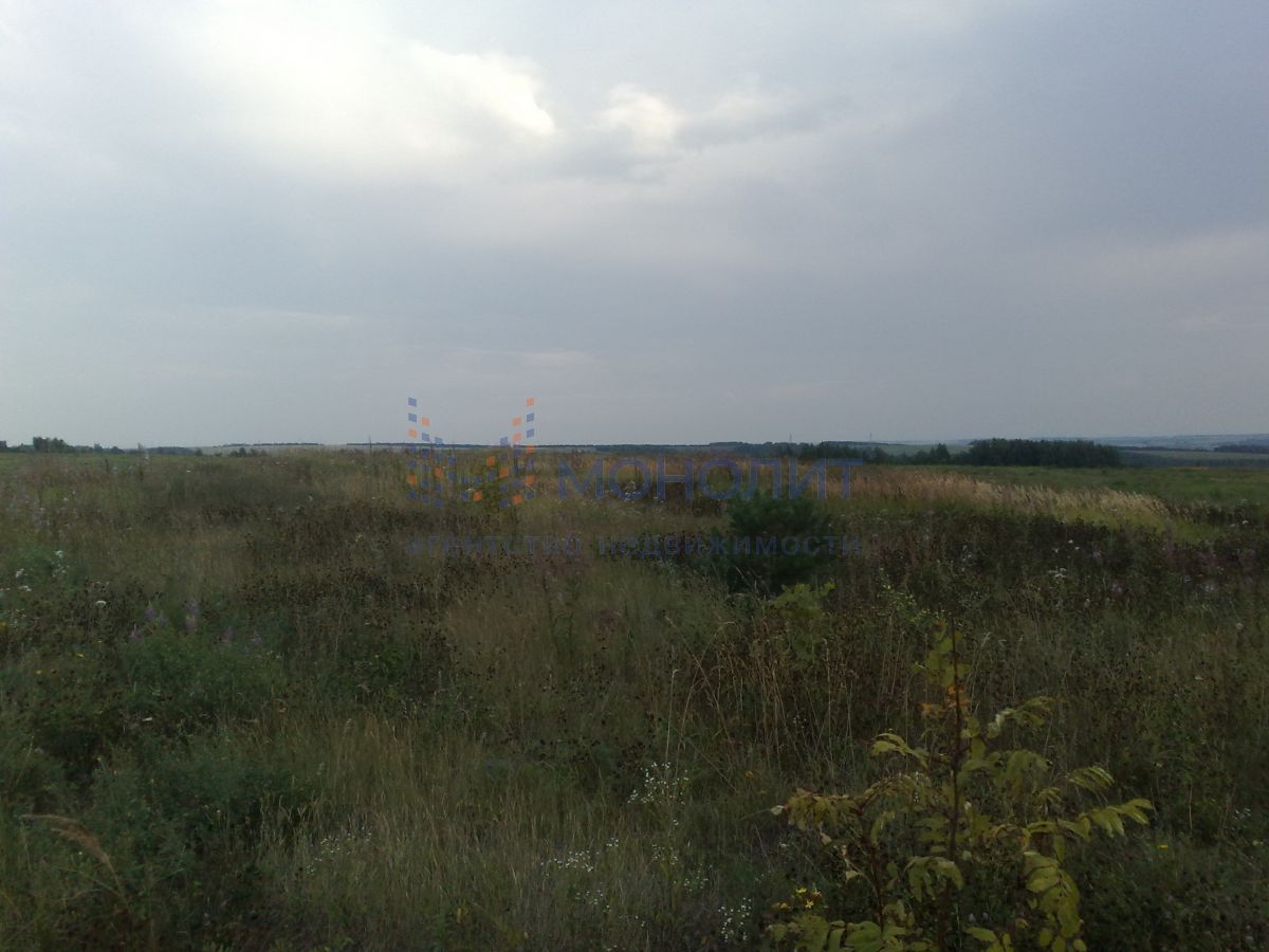 земля р-н Моргаушский д Молгачкасы Республика Чувашия фото 3