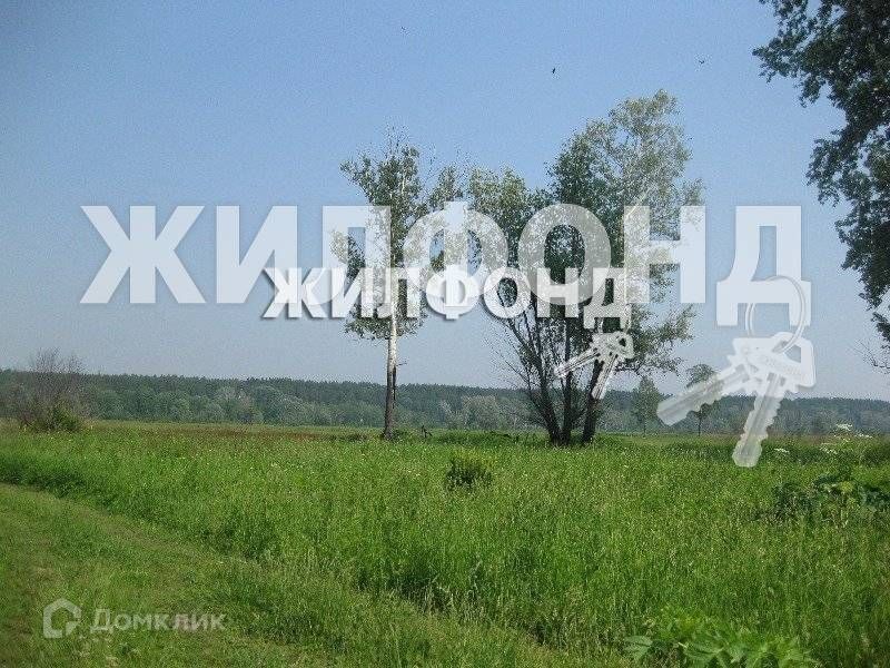 земля р-н Новосибирский фото 3