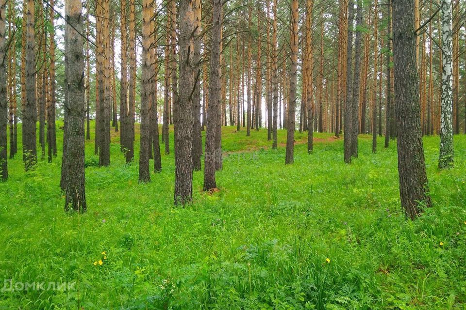 земля р-н Емельяновский фото 1