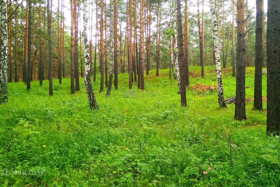 земля р-н Емельяновский фото 4