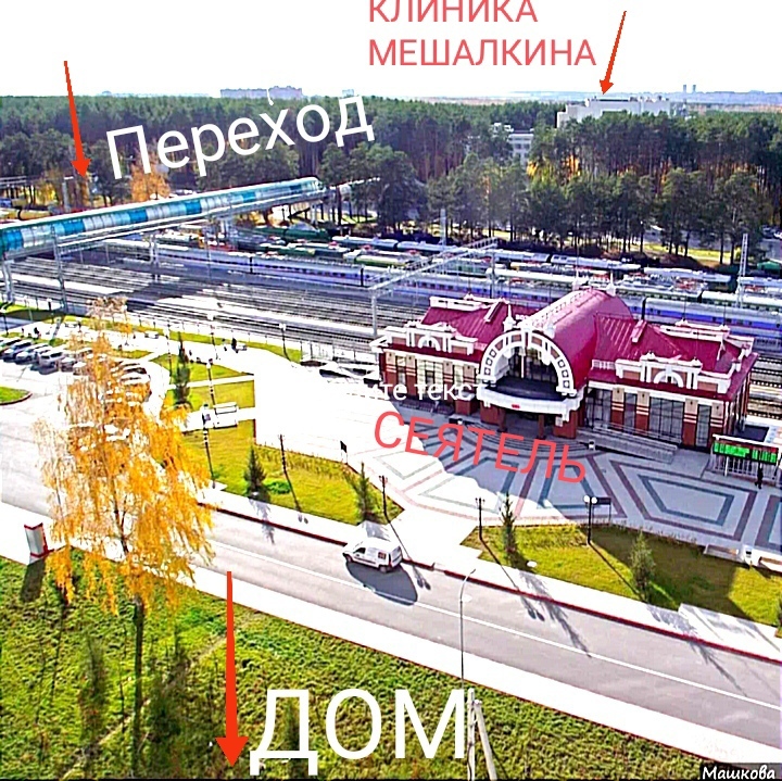 квартира г Новосибирск р-н Советский фото 17