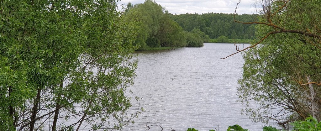 земля городской округ Раменский с Юсупово Спортивная улица фото 7