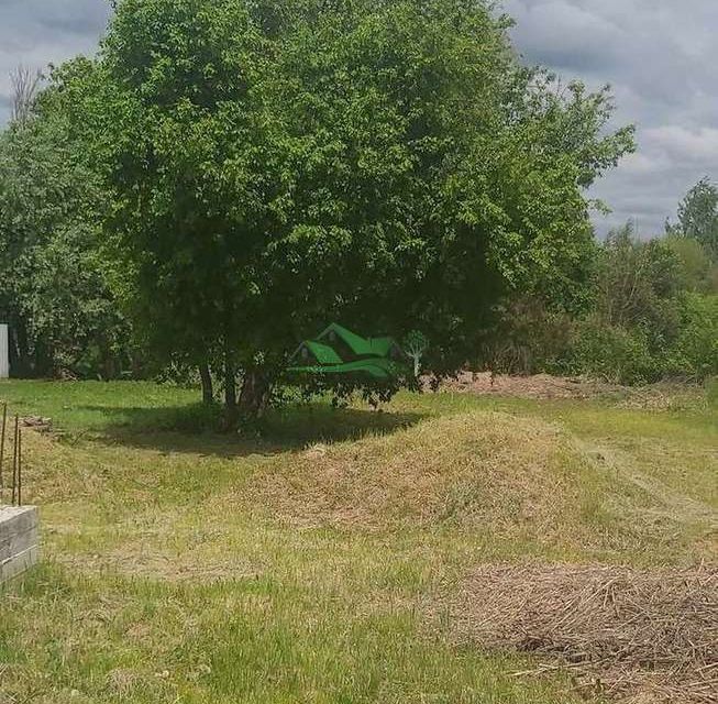 земля р-н Белгородский с Нижний Ольшанец ул Нижняя фото 7