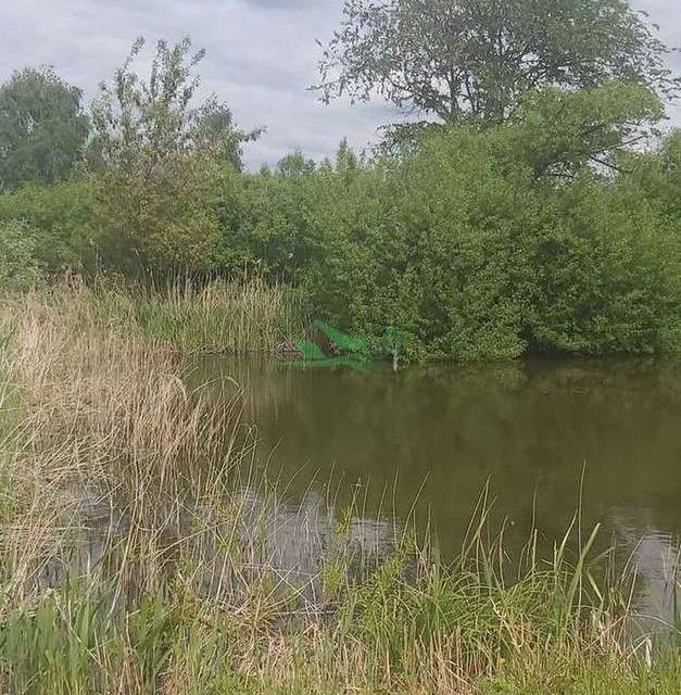 земля р-н Белгородский с Нижний Ольшанец ул Нижняя фото 8