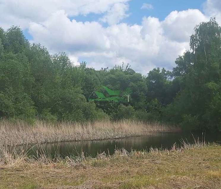 земля р-н Белгородский с Нижний Ольшанец ул Луговая фото 10