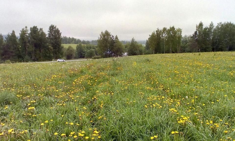 земля р-н Приозерский фото 2