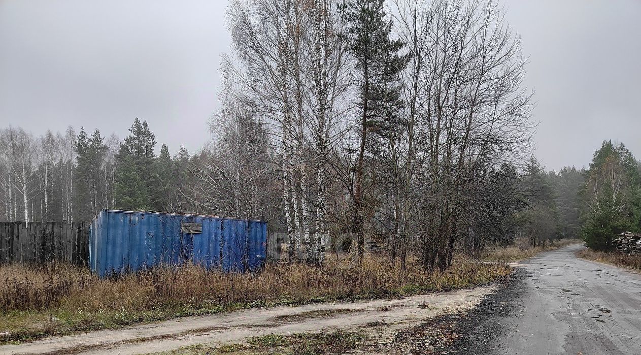 свободного назначения р-н Гусь-Хрустальный д Бабино муниципальное образование, Анопино фото 46