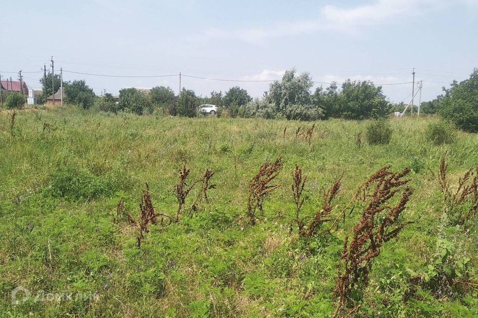 Земля Темрюкский Район Купить