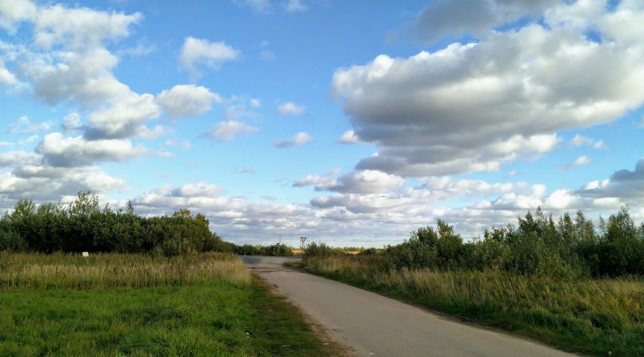 офис р-н Новгородский с/п Ермолинское фото 3