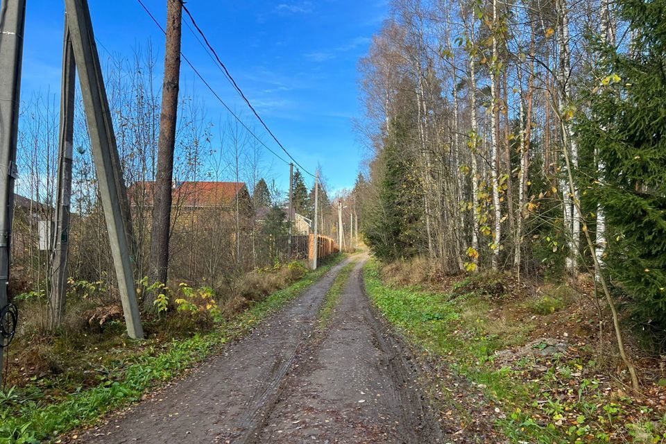 земля р-н Всеволожский д Агалатово ул Зеленая 39 фото 3