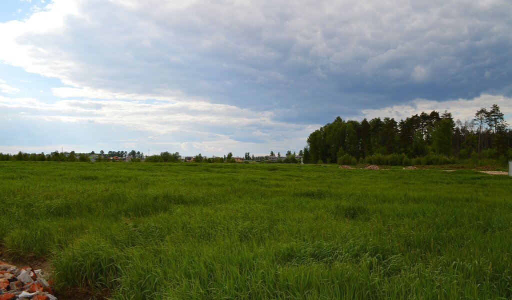 земля г Балашиха с Новый Милет коттеджный посёлок Русавкино-Заречное фото 4
