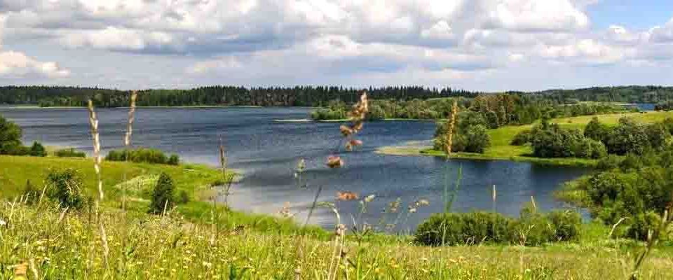 земля р-н Новгородский фото 1