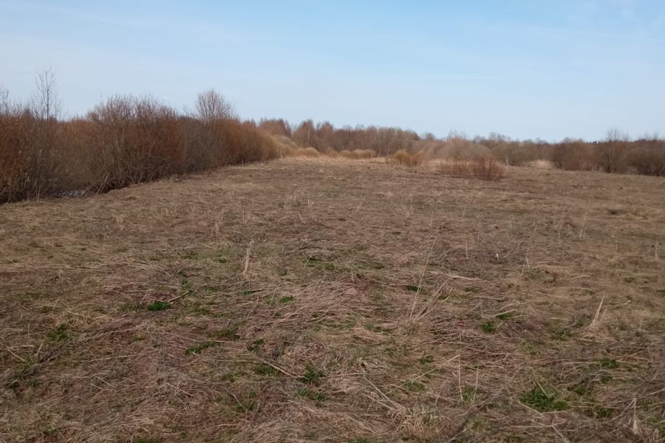 земля р-н Новгородский фото 3