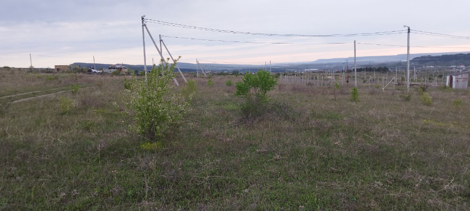 земля р-н Симферопольский фото 2