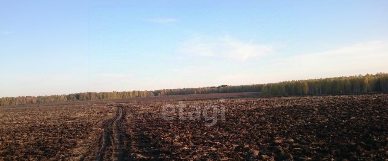 земля г Шадринск снт Голубые Ключи фото 3