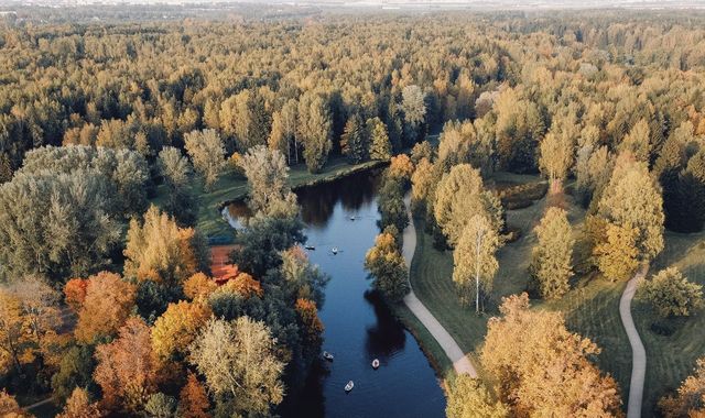 снт Павловское-2 ул 1-я линия р-н Пушкинский фото