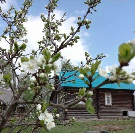 дом г Вышний Волочек с Алексеевское Вышневолоцкий городской округ фото 8