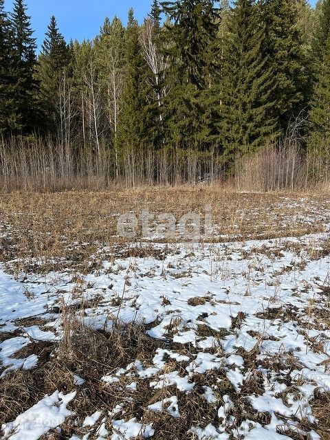 земля р-н Манский д Самарка ул Хуторская фото 10