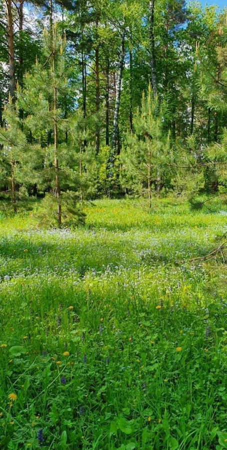 квартира городской округ Ленинский п Лопатино ул Сухановская 17 Видное фото 21