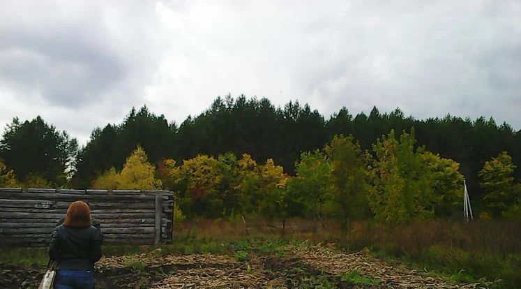 дом р-н Красноярский п Раевка Большая Каменка с пос фото 2