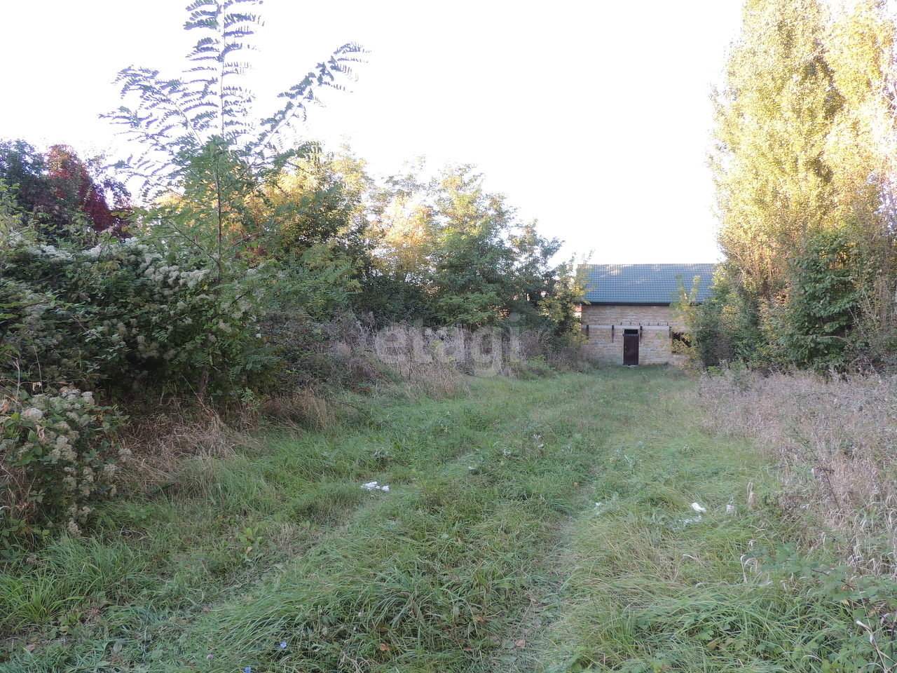 земля г Симферополь р-н Киевский Луговое-2 фото 6