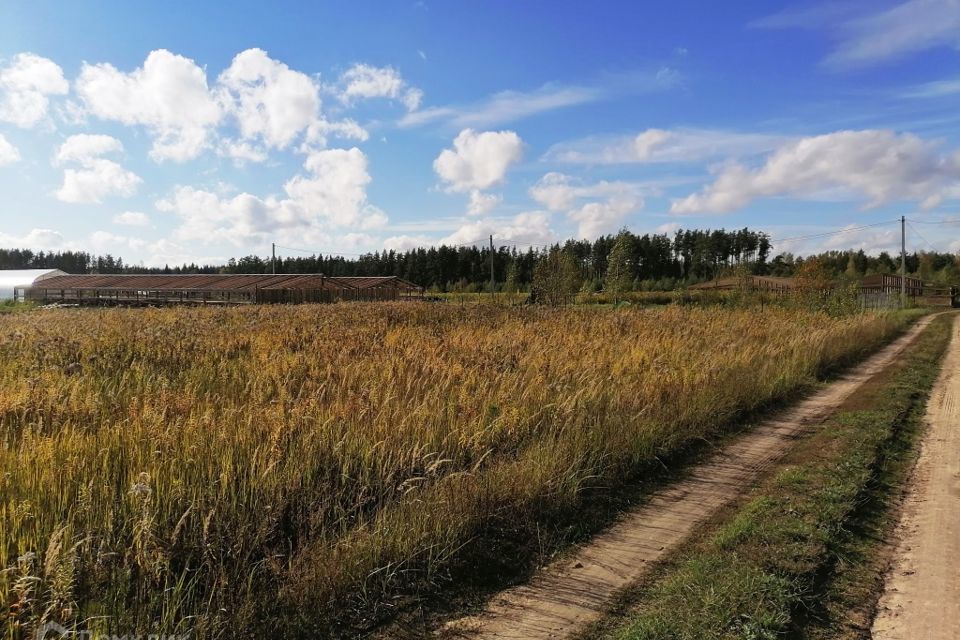 земля р-н Киржачский д Лисицыно ул Мишкин лес фото 4