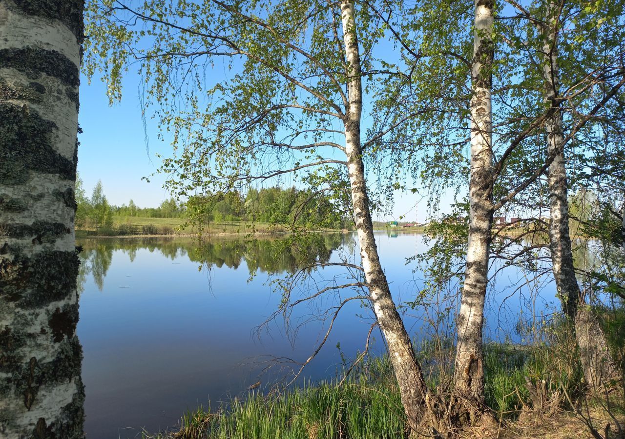 земля городской округ Шаховская коттеджный пос. Новорижское взморье фото 6