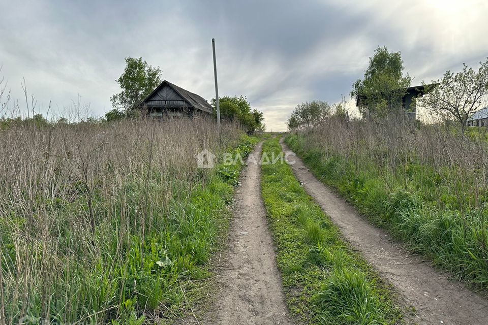 земля р-н Пензенский с Александровка ул Центральная 58а фото 2