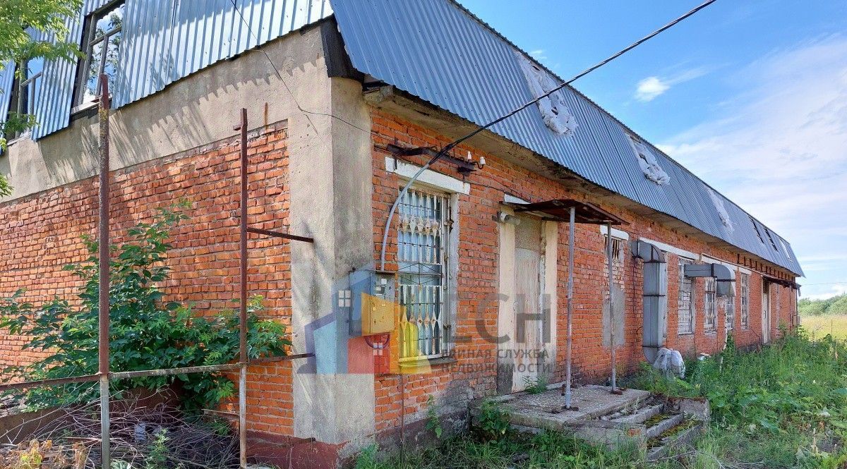 производственные, складские р-н Дубенский с Новое Павшино ул Мира 1 Протасовское муниципальное образование фото 4