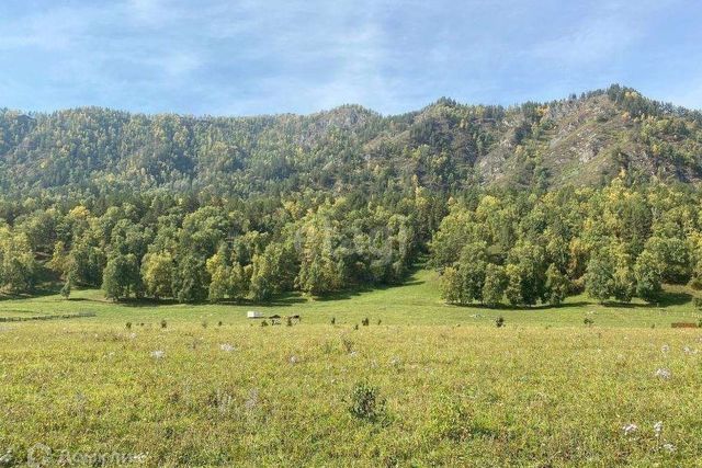 р-н Чемальский фото