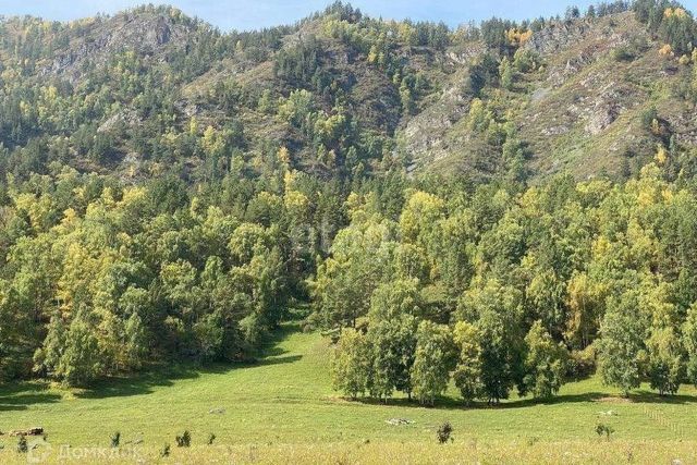 р-н Чемальский фото