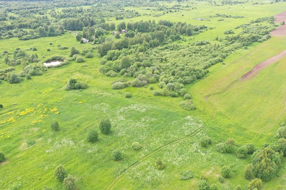 земля р-н Некрасовский фото 9