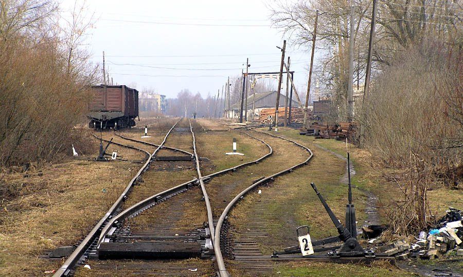 земля р-н Инжавинский рп Инжавино ул Станционная 30 фото 1