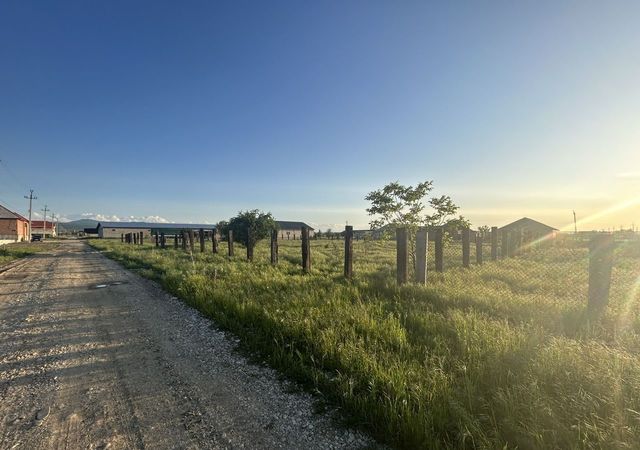 р-н Курчалоевский г Курчалой ул Курчалоевская Курчалойское городское поселение фото