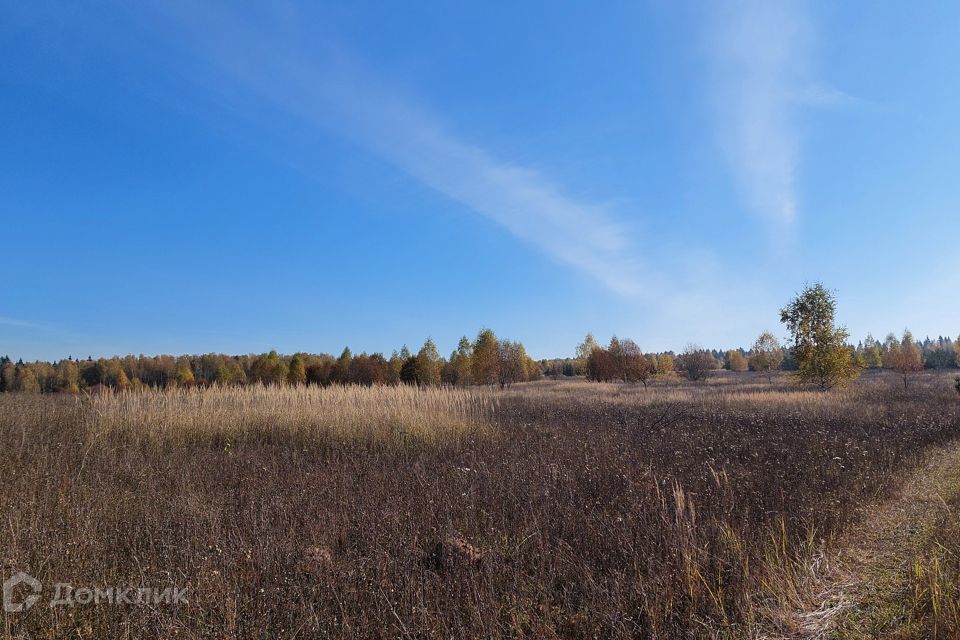 земля р-н Боровский фото 7