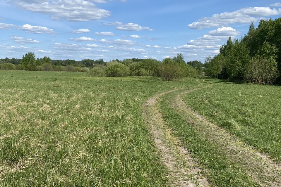 земля р-н Новгородский фото 7